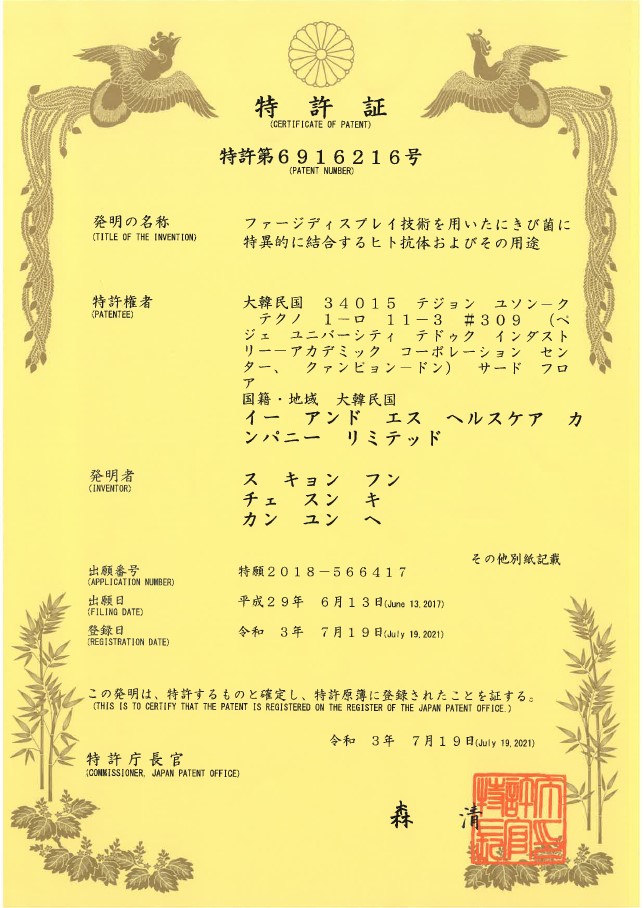 Japan- Patent6916216.jpg
